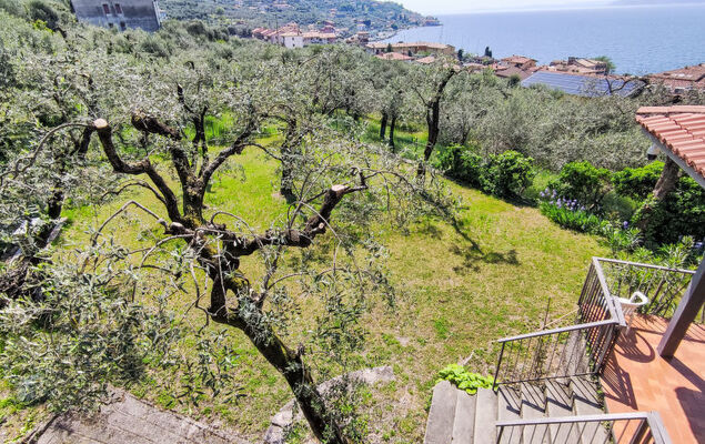 Papandrea - Photo 28