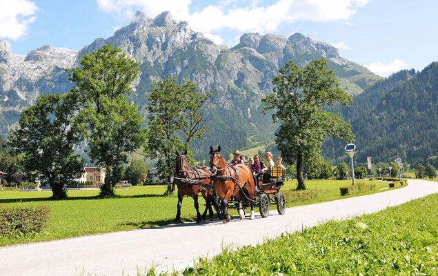 Edelweiss - Photo 31