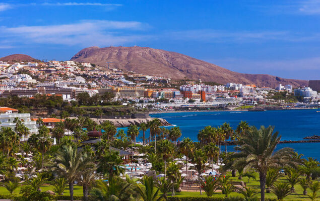 Altemar H3 - Photo 23