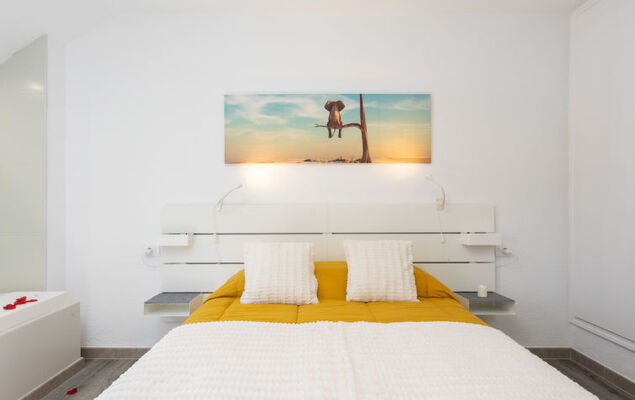 Deluxe Altemar - Photo 16