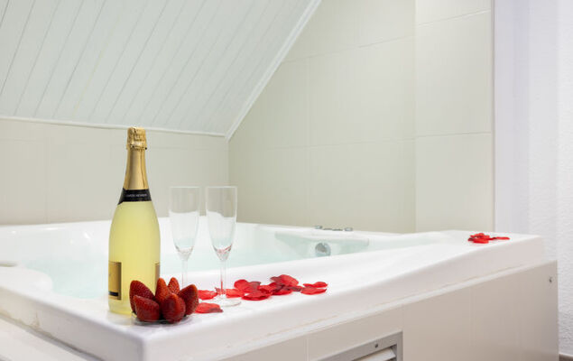 Deluxe Altemar - Photo 18