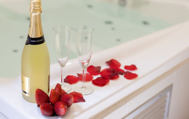 Deluxe Altemar - Photo 19