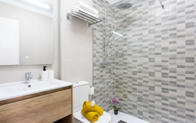 Deluxe Altemar - Photo 24