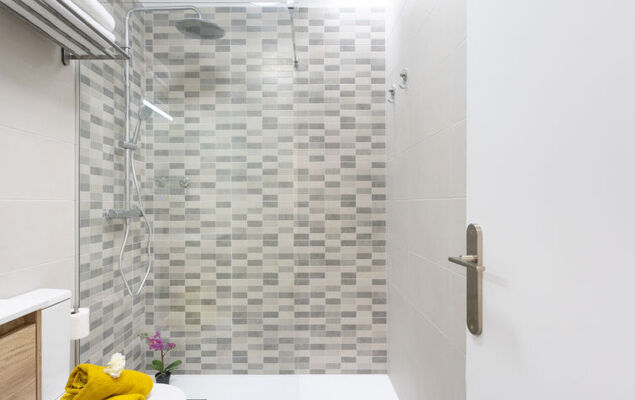 Deluxe Altemar - Photo 25