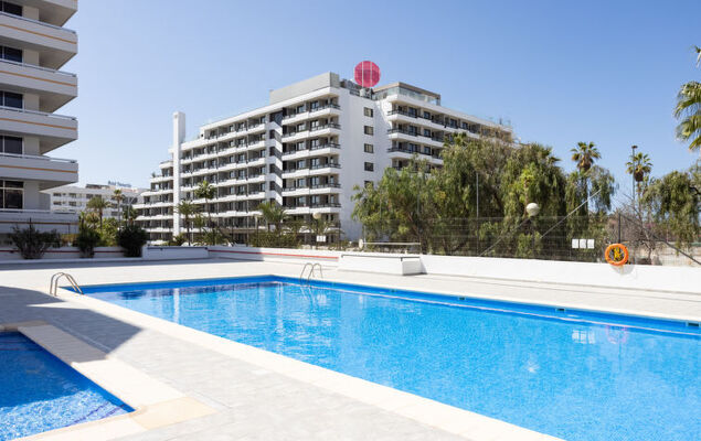 Deluxe Altemar - Photo 31