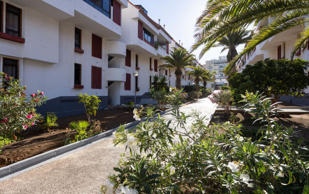 Comfy Altemar - Photo 29