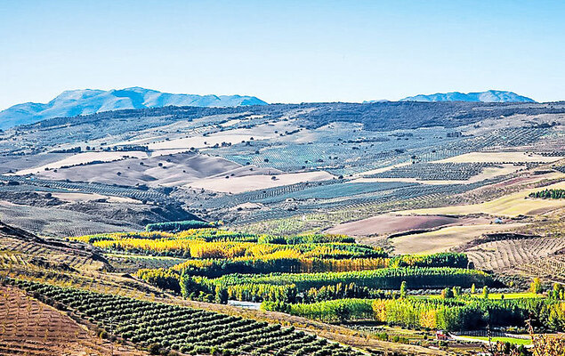 Rural Cacin - Photo 28