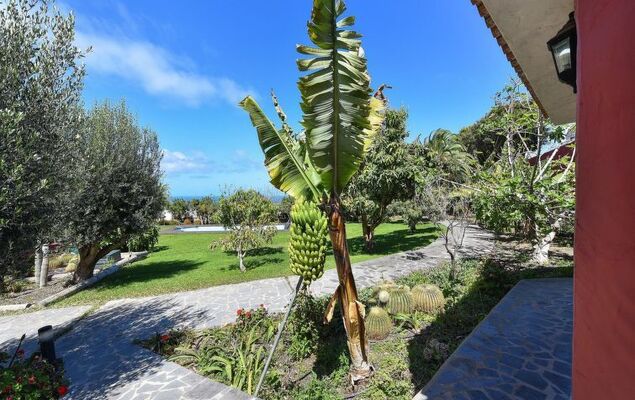 Arucas 10 - Photo 40