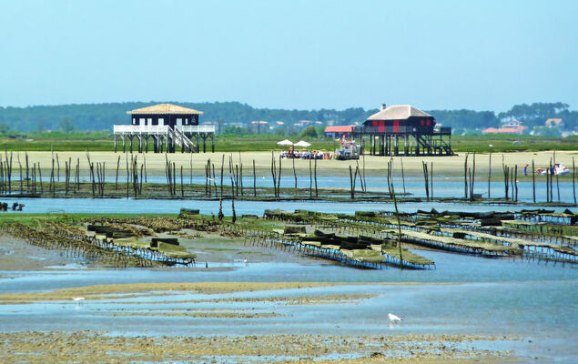 Le Bellini - Photo 17