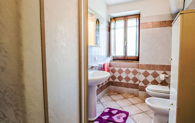 Sunflower - Photo 18